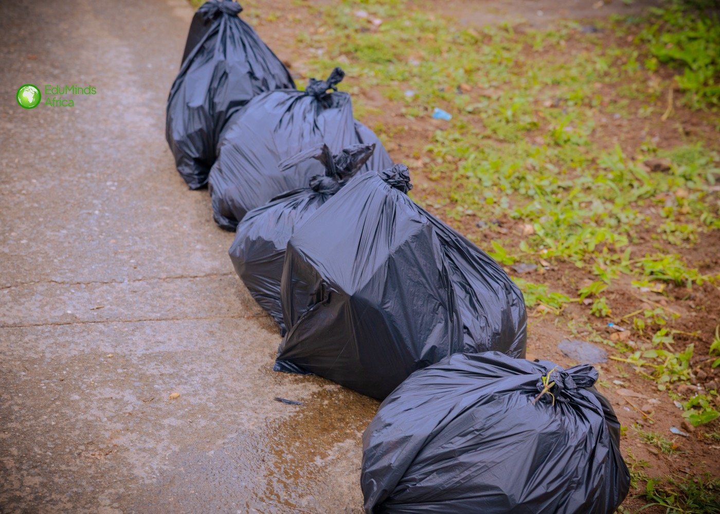 World Cleanup Day 2025 — photo 10